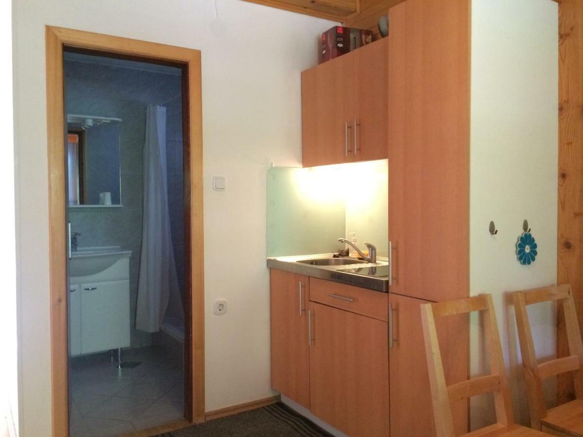 Apartment Tisa Solčava エクステリア 写真